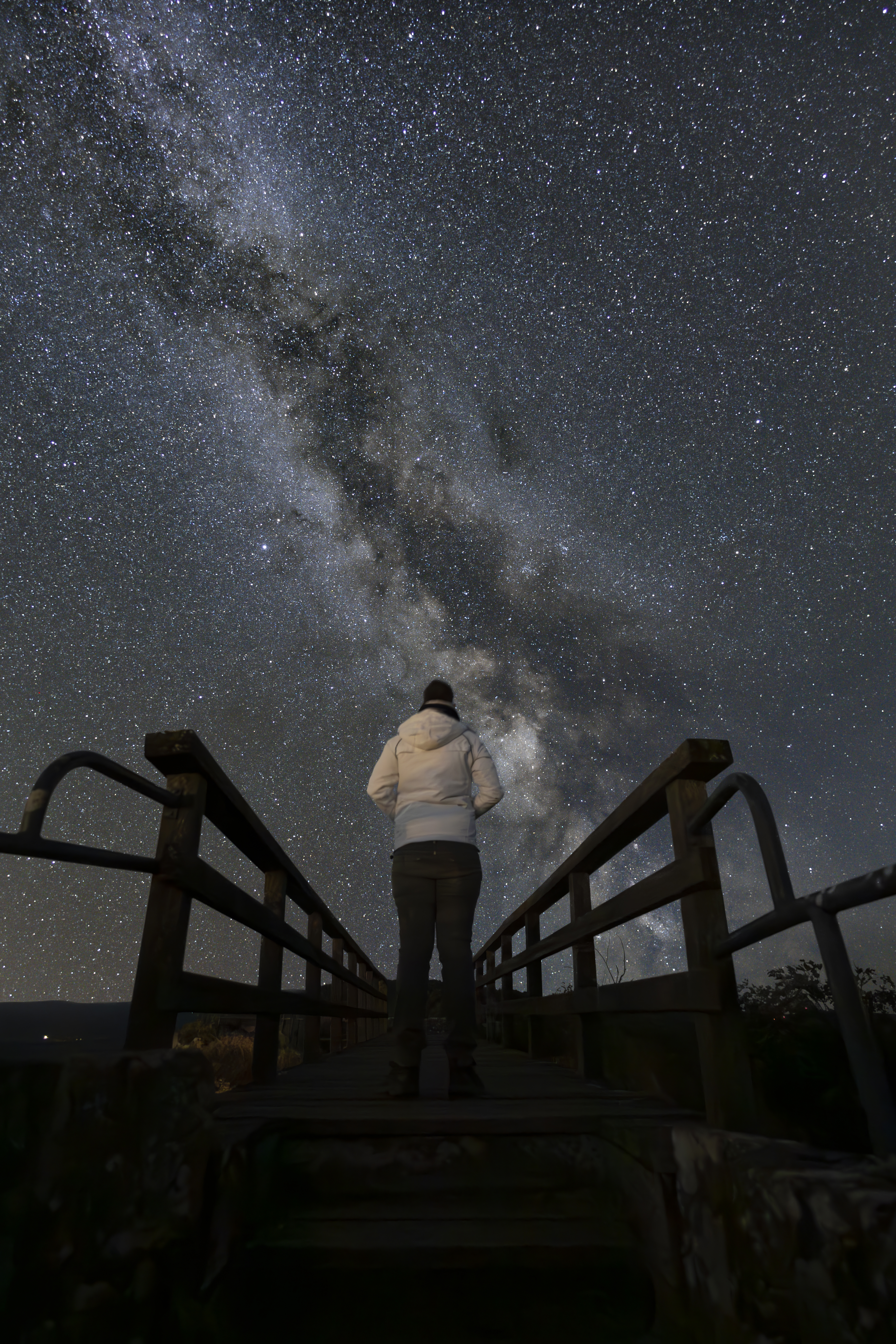 Chasing the Milky Way IV