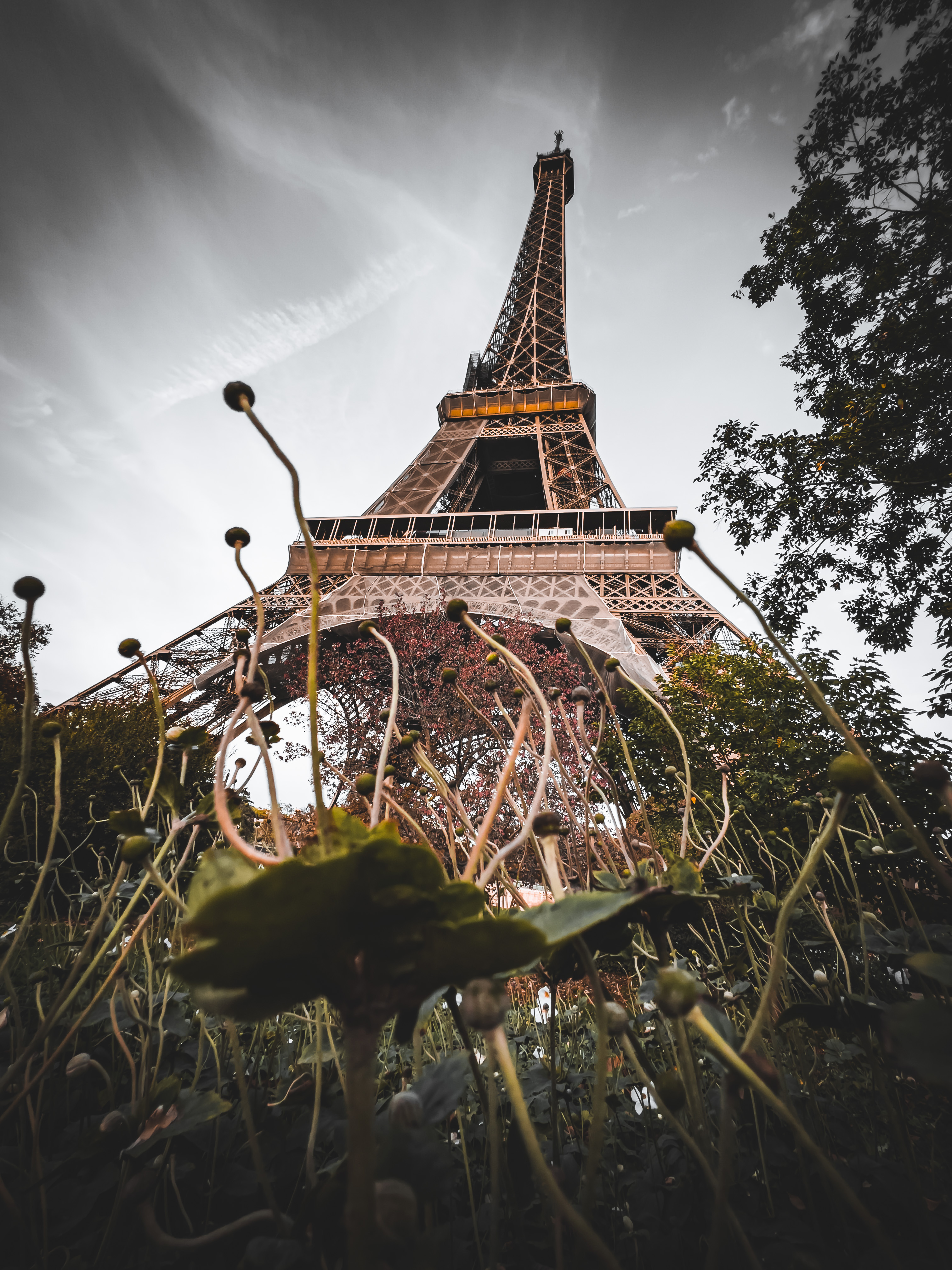 Les Racines de La Dame de Fer