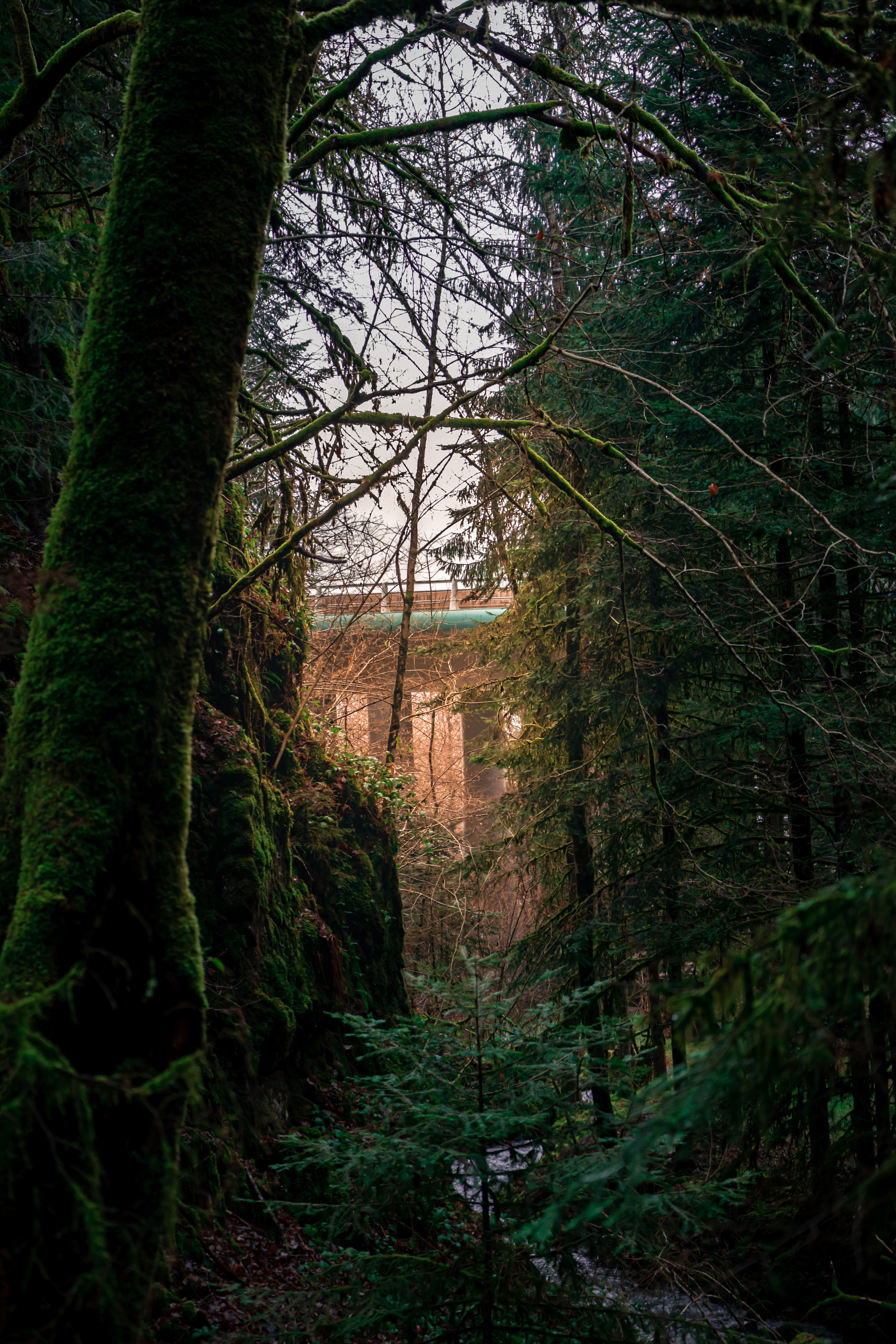 Percée Architecturale